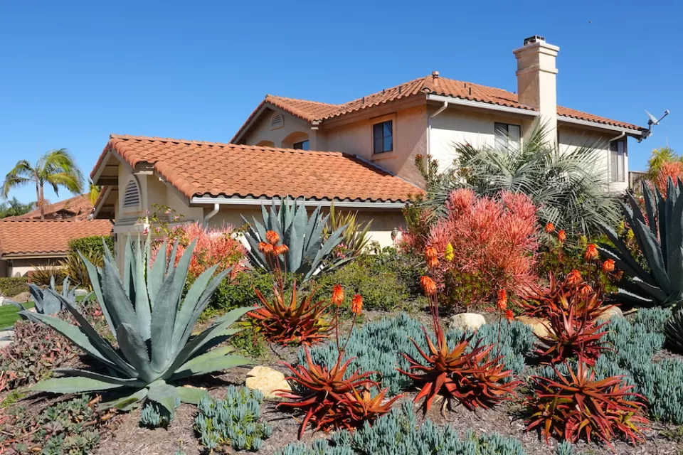 Drought tolerant desert plants including large agaves in the front yard of a Spanish-style Southern California home with red tile roof.